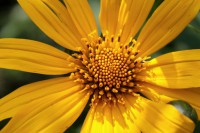 /album/fotogaleria-naturaleza/img-2792-jpg/