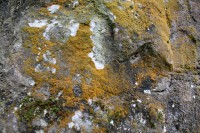 /album/fotogaleria-naturaleza/img-2803-jpg/