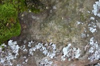 /album/fotogaleria-naturaleza/img-2811-jpg/