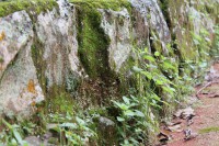 /album/fotogaleria-naturaleza/img-2813-jpg/