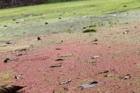 /album/fotogaleria-naturaleza/img-2815-jpg/