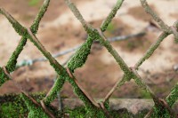 /album/fotogaleria-naturaleza/img-2818-jpg/