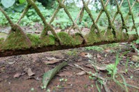 /album/fotogaleria-naturaleza/img-2821-jpg/