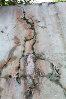 /album/fotogaleria-naturaleza/img-2840-jpg/