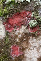 /album/fotogaleria-naturaleza/img-2846-jpg/