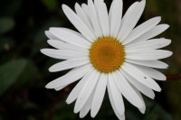 /album/fotogaleria-naturaleza/img-2858-jpg/