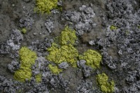 /album/fotogaleria-naturaleza/img-5480-jpg/