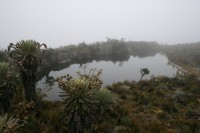 /album/fotogaleria-naturaleza/img-5496-jpg/